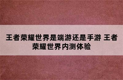 王者荣耀世界是端游还是手游 王者荣耀世界内测体验